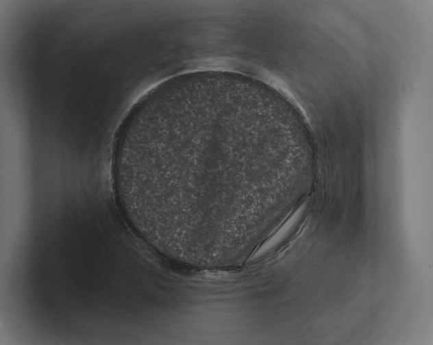 X0000102311312200808221438