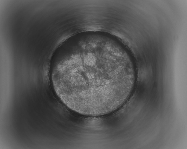 X0000102311314200808221438