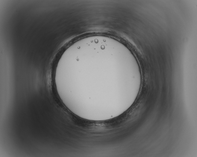 X0000102311315200808221438