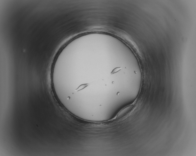 X0000102311328200808221438
