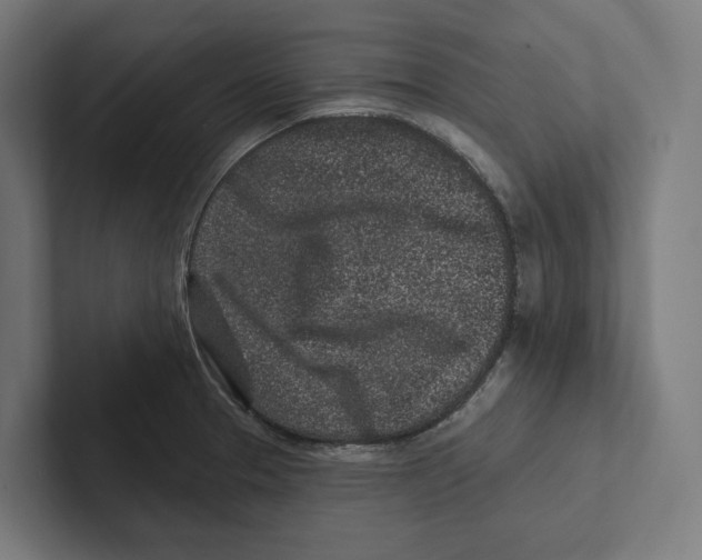 X0000102311329200808221438