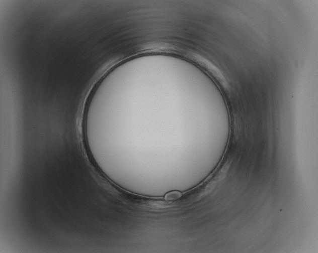 X0000102311330200808221438