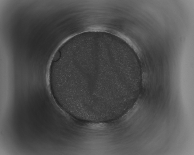X0000102311331200808221438