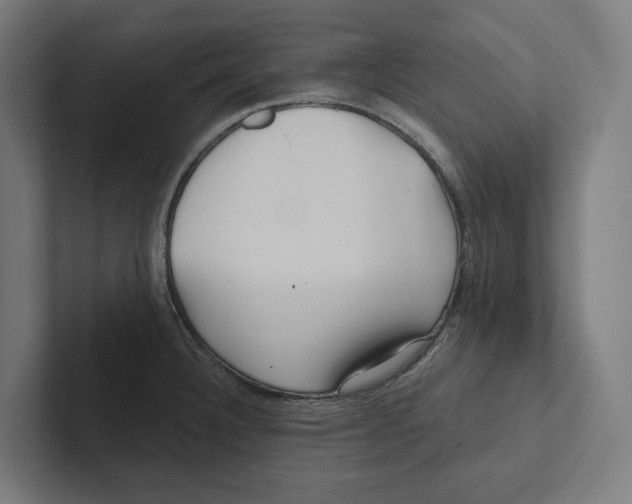 X0000102311332200808221438