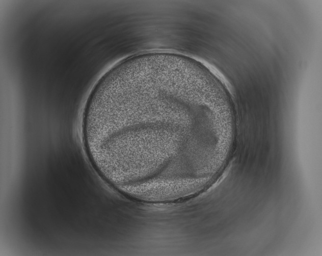 X0000102311333200808221438