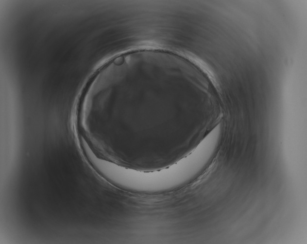 X0000102311334200808221438