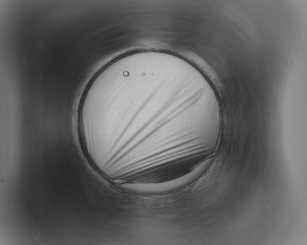 X0000102311335200808221438