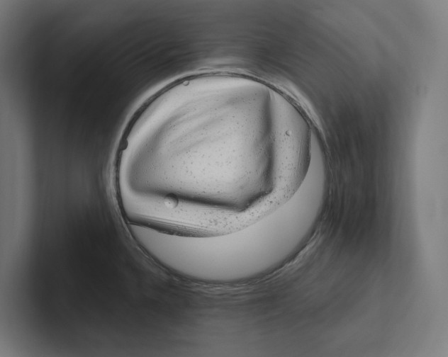 X0000102311336200808221438