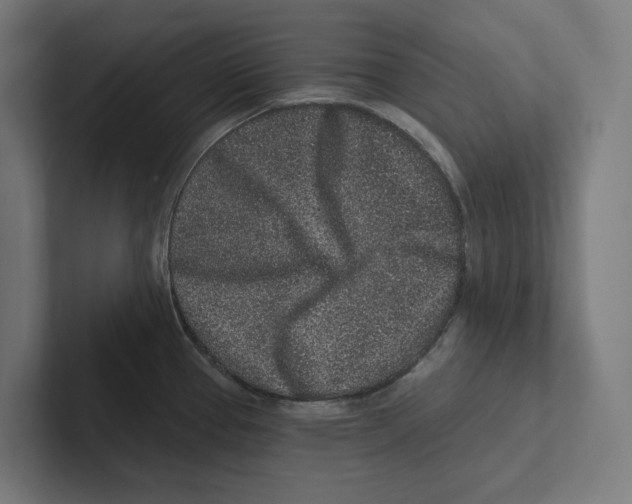X0000102311337200808221438