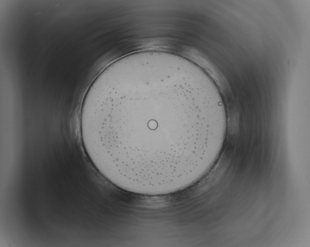 X0000102311338200808221438