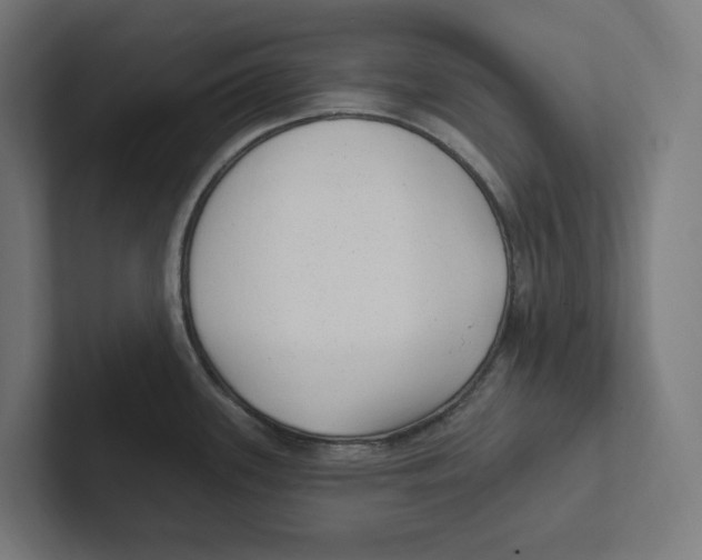 X0000102311339200808221438
