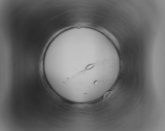 X0000102311340200808221438