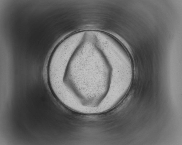 X0000102311341200808221438