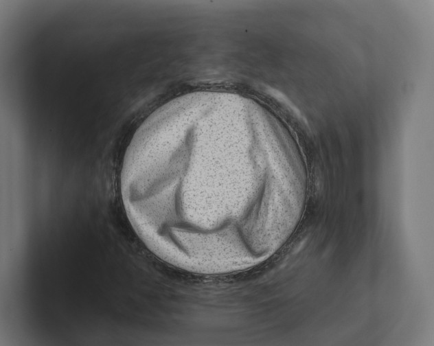 X0000102311350200808221438