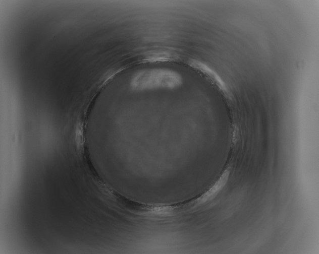 X0000102311353200808221438