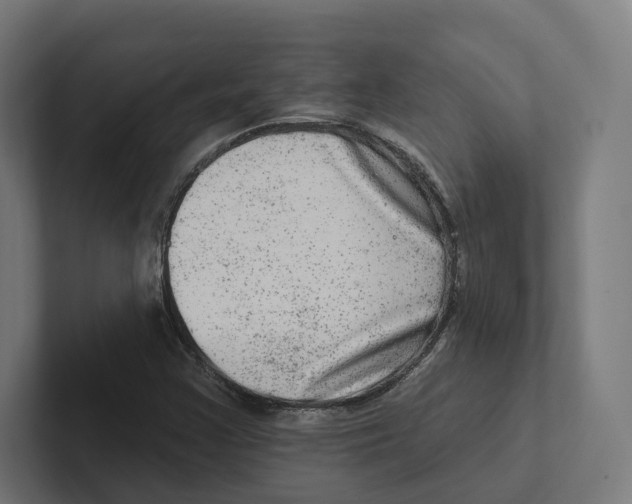 X0000102311355200808221438