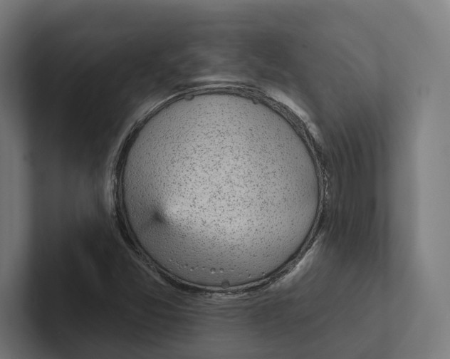 X0000102311357200808221438