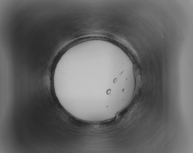 X0000102311360200808221438