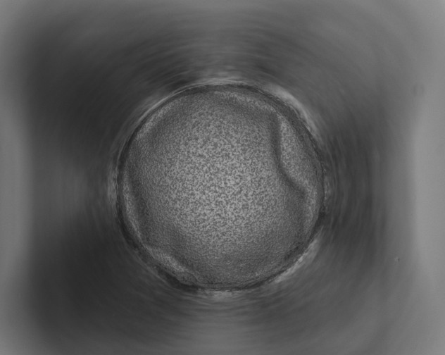 X0000102311361200808221438