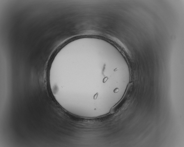 X0000102311364200808221438