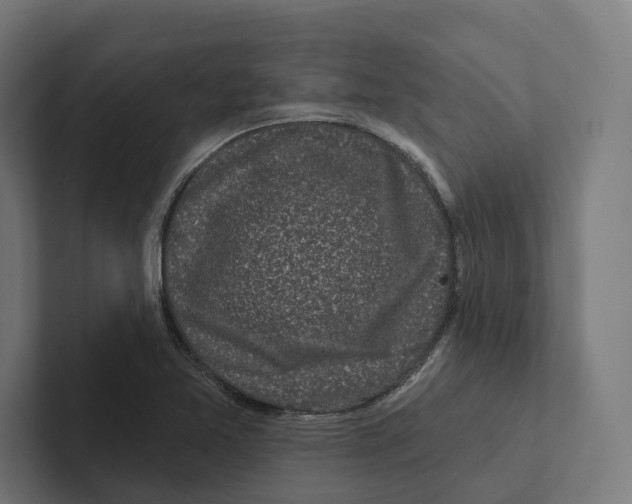 X0000102311365200808221438
