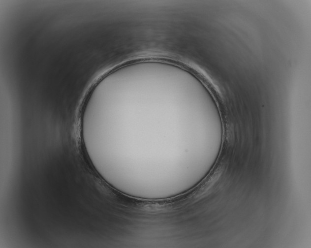 X0000102311366200808221438