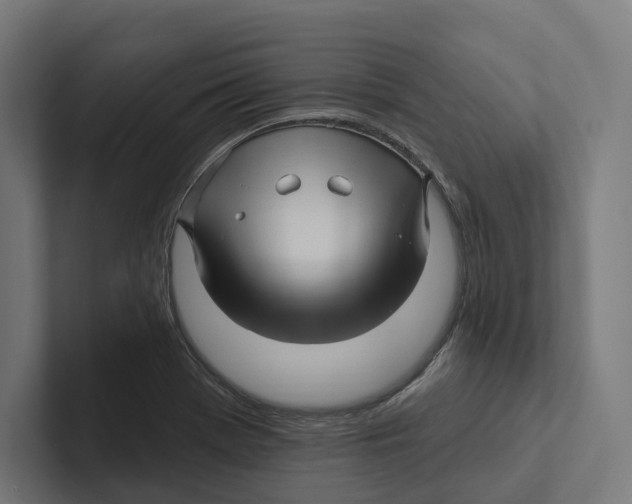 X0000102311369200808221437