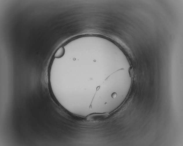 X0000102311372200808221437