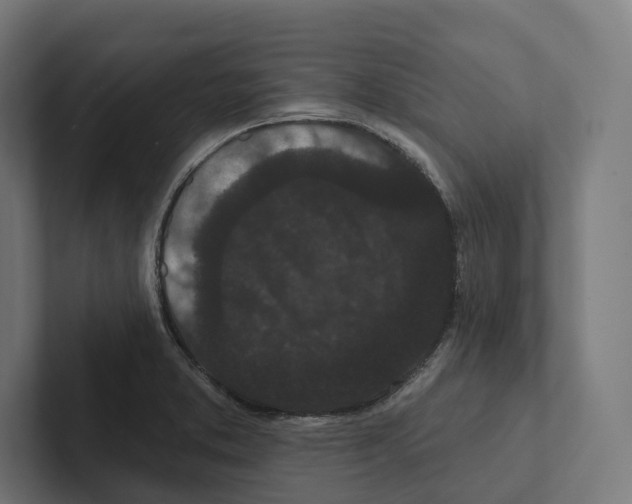 X0000102311373200808221437