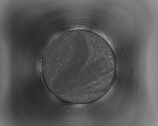 X0000102311377200808221437