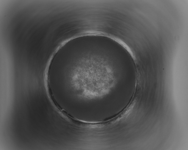 X0000102311381200808221437