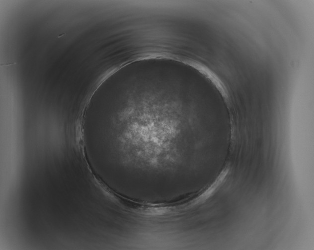X0000102311385200808221437