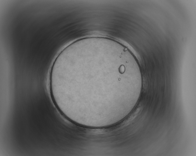 X0000102311387200808221437