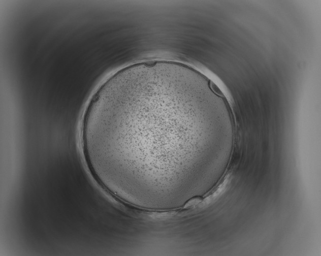 X0000102311389200808221437