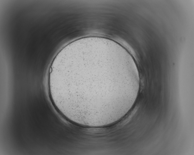 X0000102311391200808221437