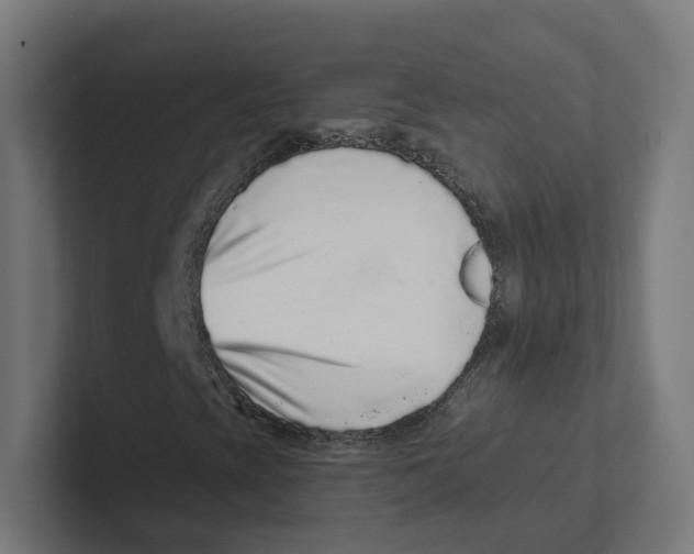 X0000102311393200808221436