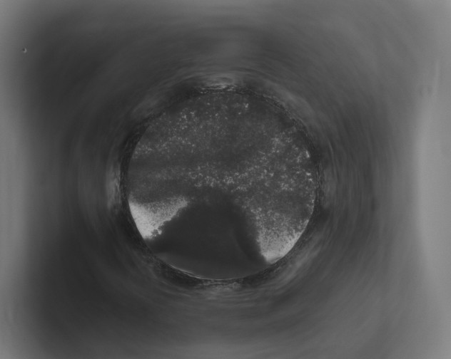 X0000102311394200808221436