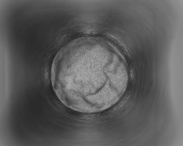 X0000102311396200808221436