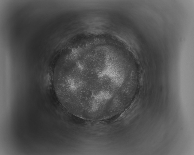 X0000102311397200808221436