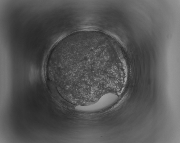 X0000102311405200808221437