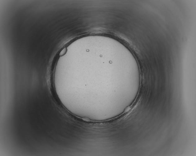 X0000102311410200808221437