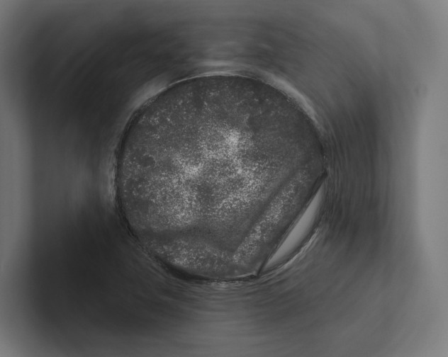X0000102311411200808221437