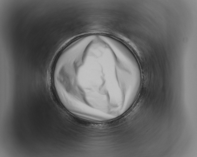X0000102311415200808221437
