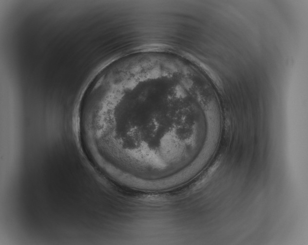 X0000102311418200808221437