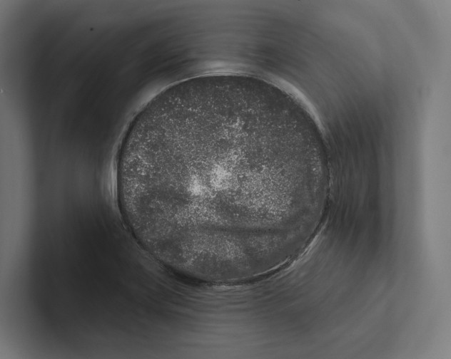 X0000102311419200808221437