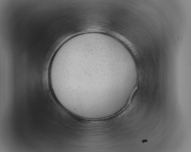 X0000102311423200808221437