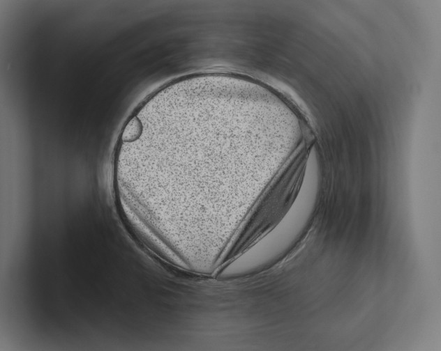 X0000102311424200808221437