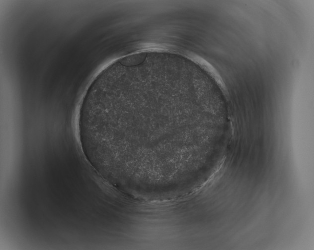 X0000102311427200808221437
