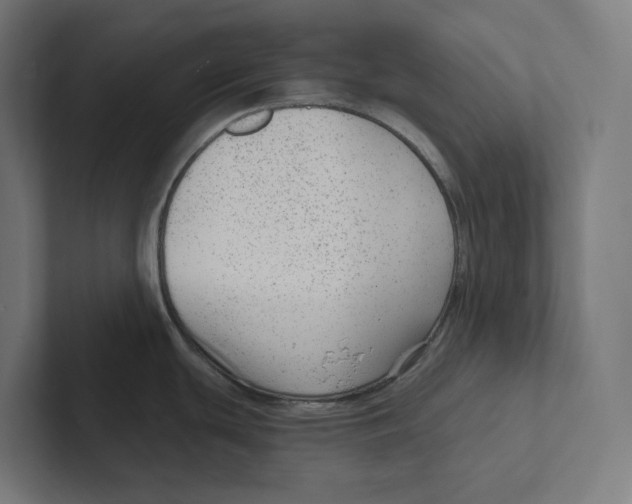 X0000102311439200808221437