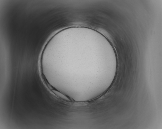 X0000102311440200808221437